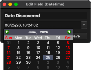 Datetime Field Editor